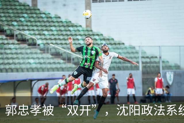 郭忠孝被“双开”，沈阳政法系统的看门人，没能看住自己